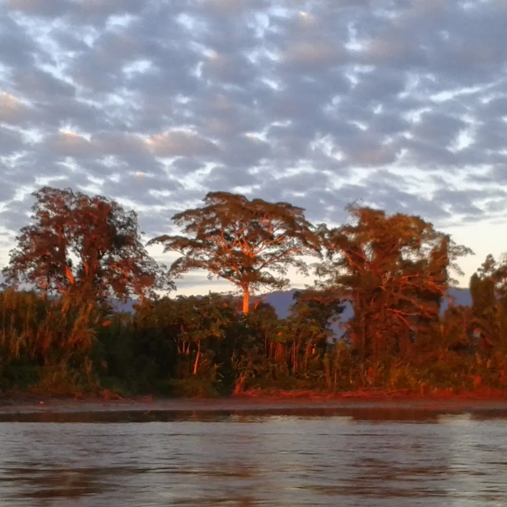 stevebergin.bsky.social's profile picture