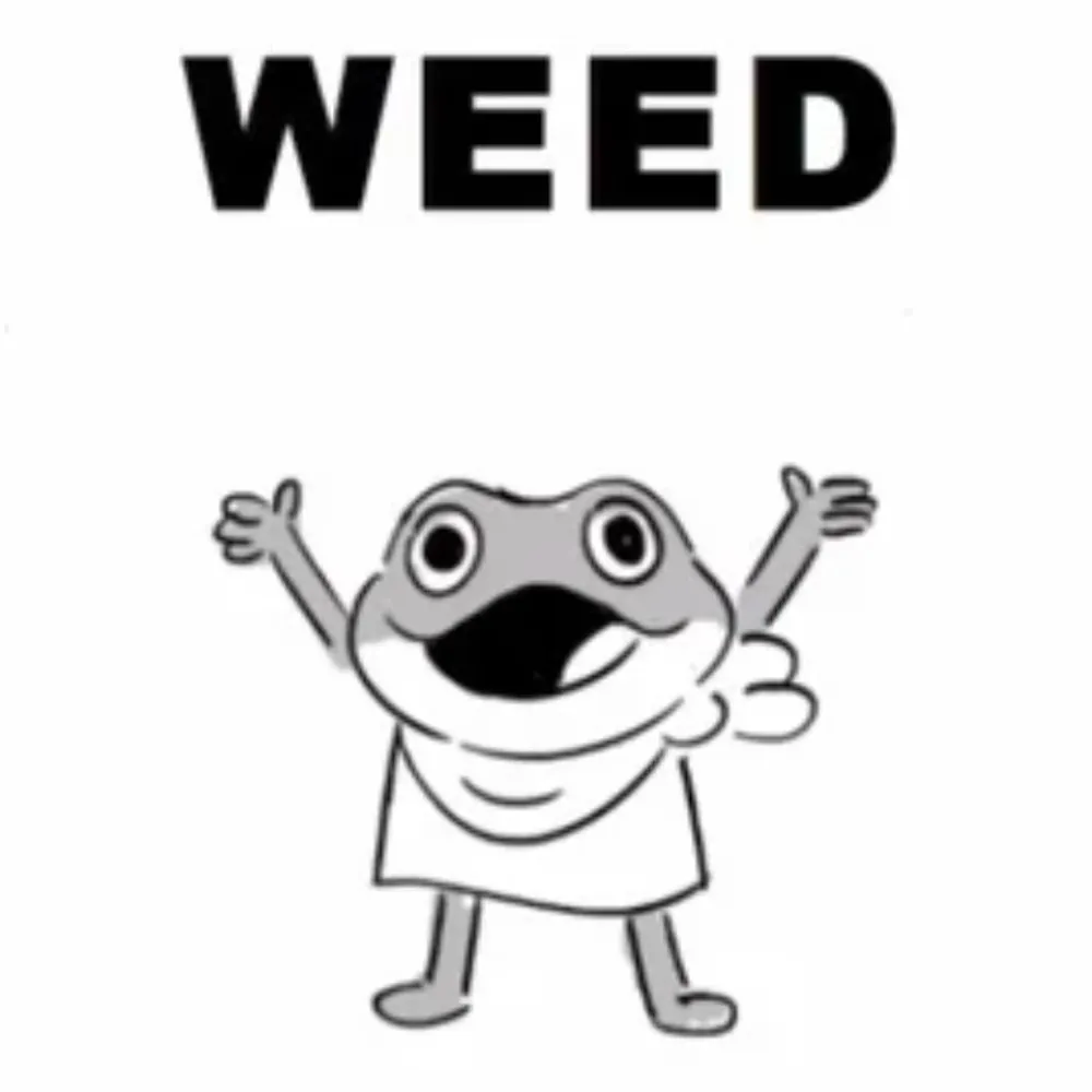 metalray.bsky.social's profile picture