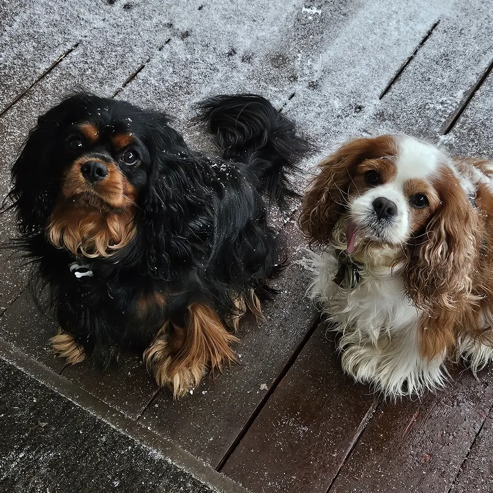 drhaup.bsky.social's profile picture