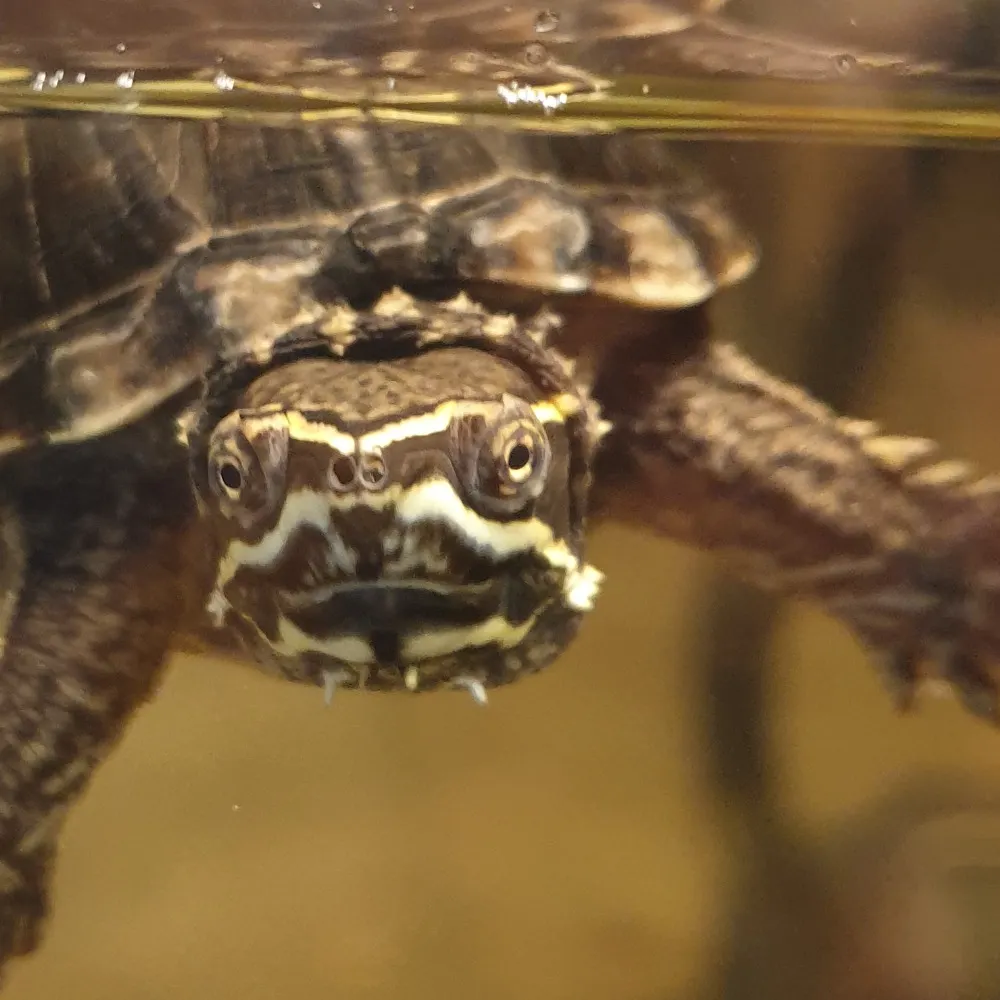 warehousepanda.bsky.social's profile picture