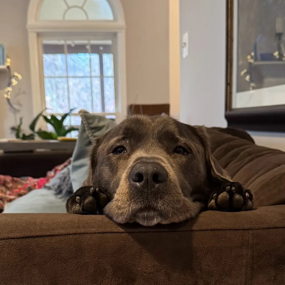 schilly70.bsky.social's profile picture