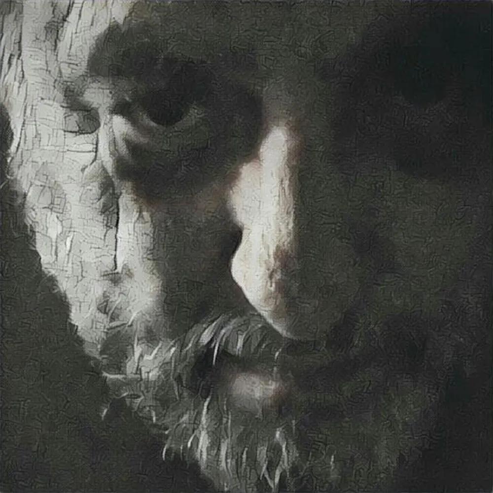 schoefaz.eurosky.social's profile picture