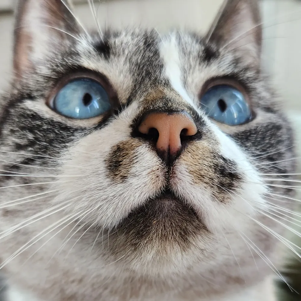 cportgrrl.bsky.social's profile picture