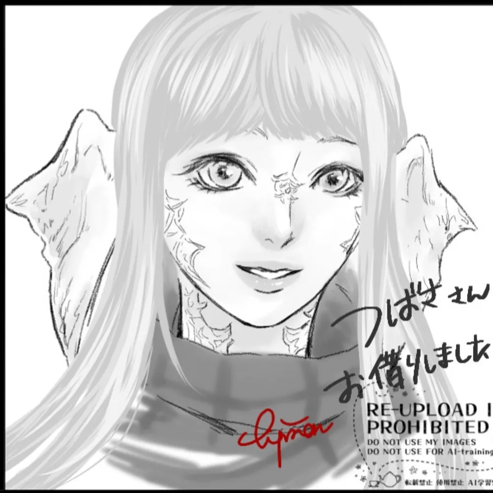 tubasa14.bsky.social's profile picture