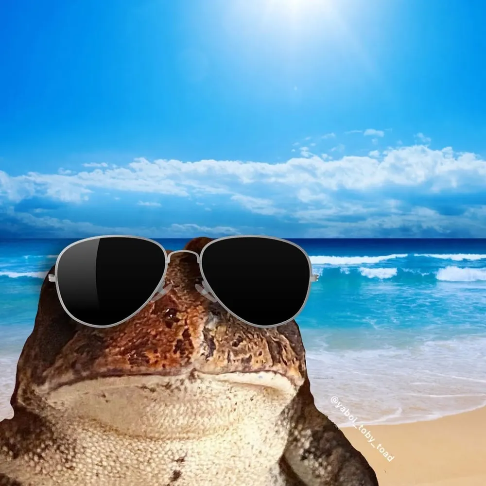 pogue.omg.lol's profile picture