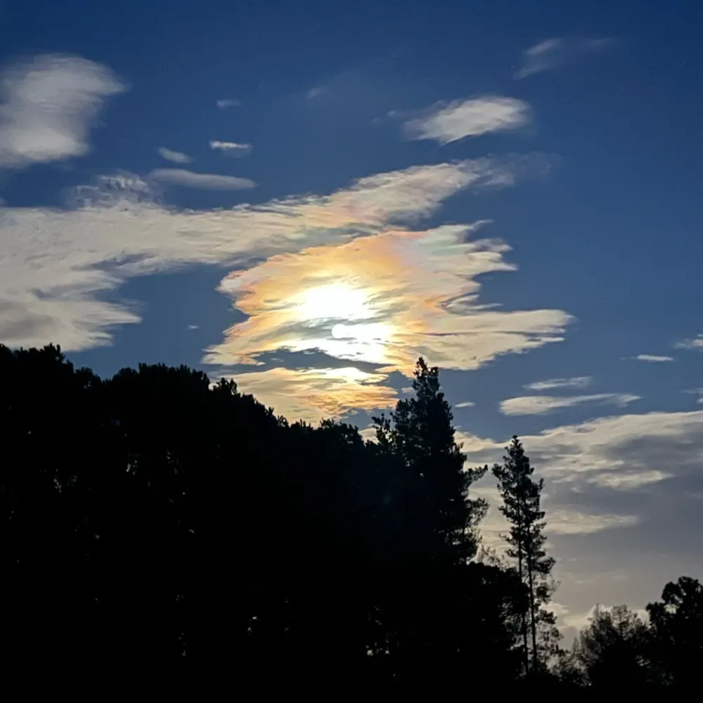 billienoa.bsky.social's profile picture