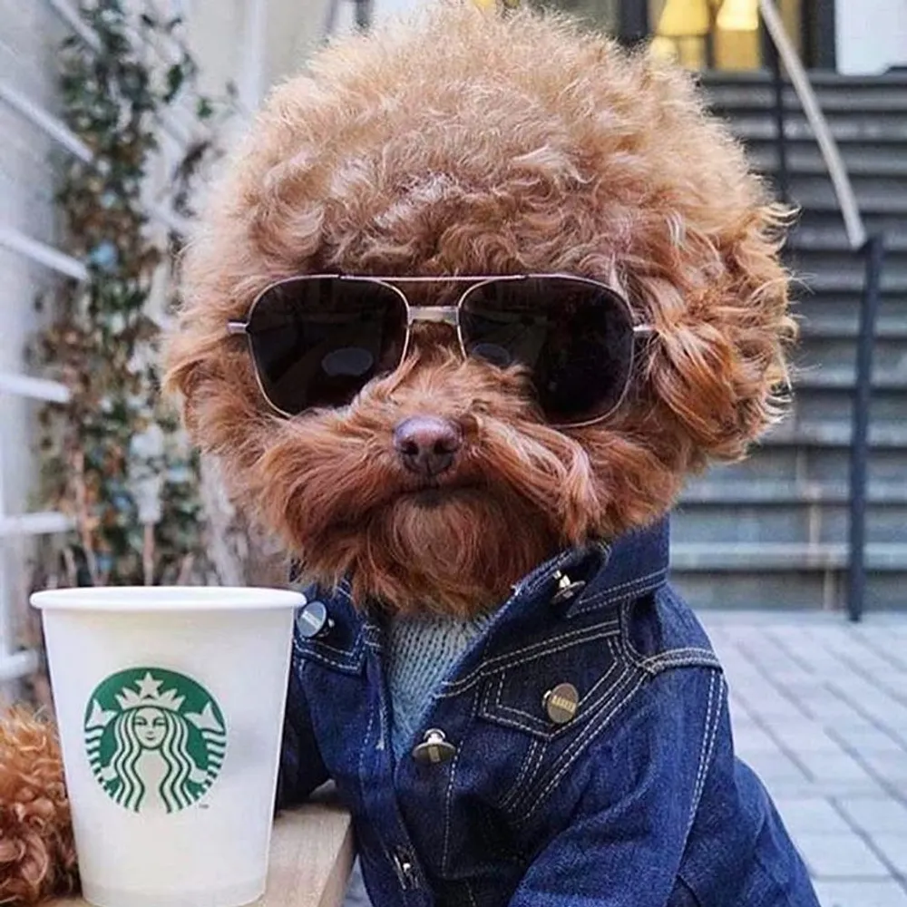 mmalexecheverre.bsky.social's profile picture