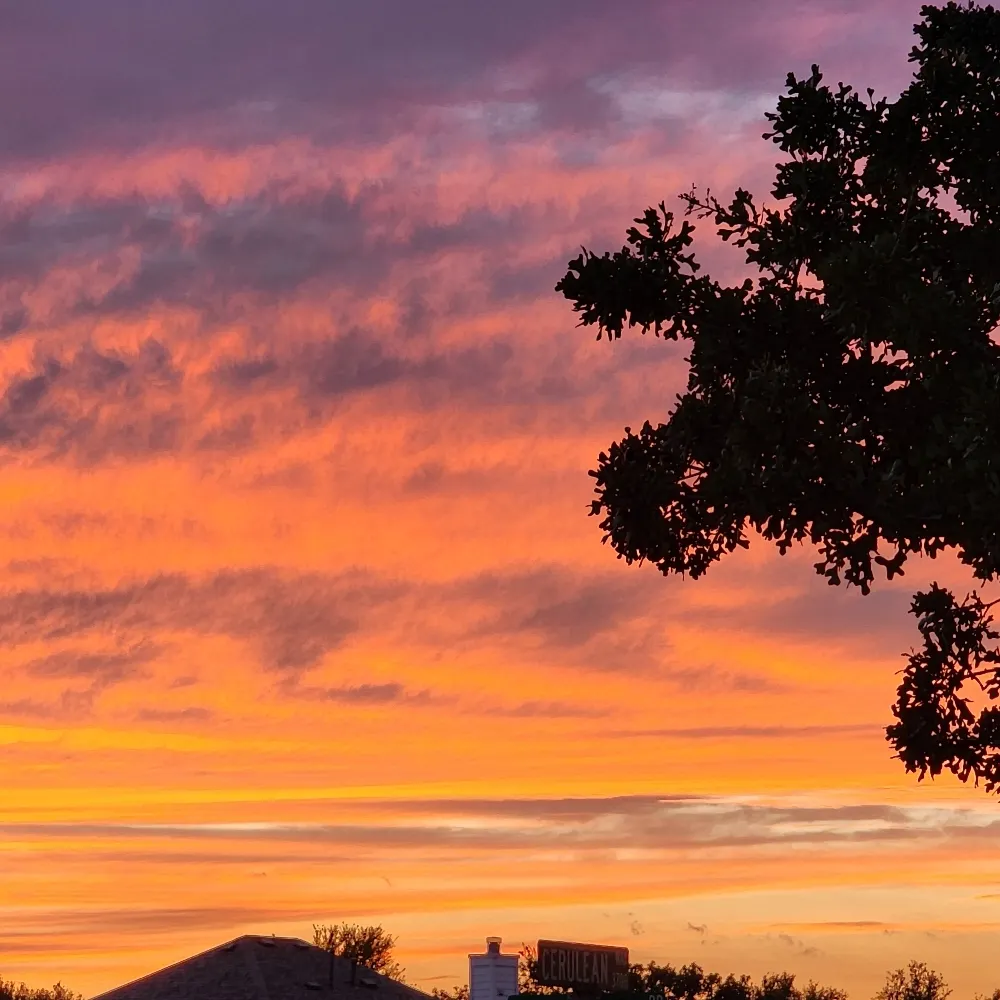 n8ivtxn.bsky.social's profile picture