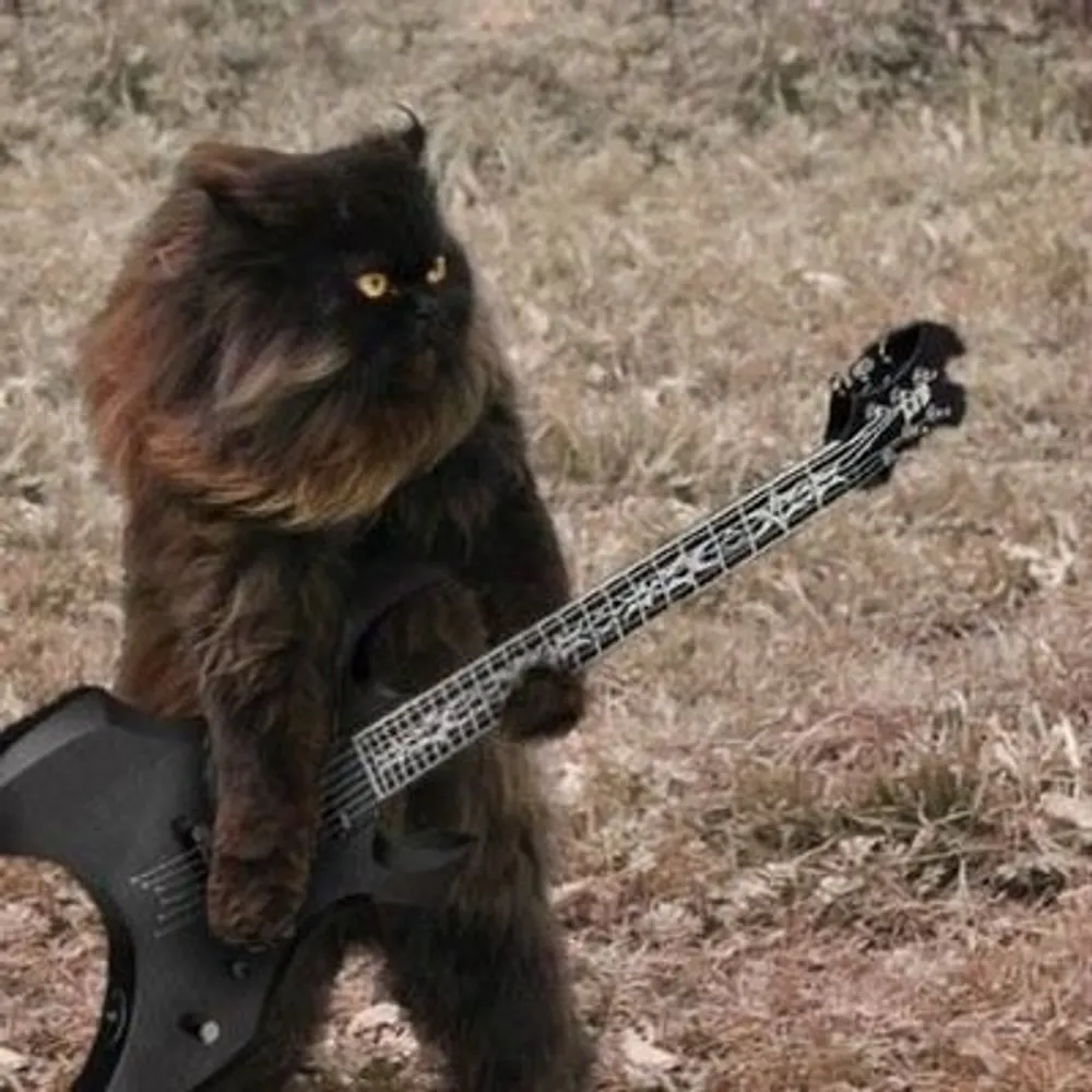 incurableanimal.bsky.social's profile picture