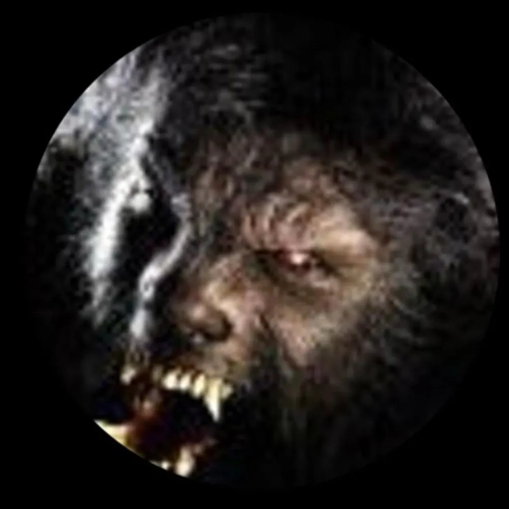 cindylee.bsky.social's profile picture