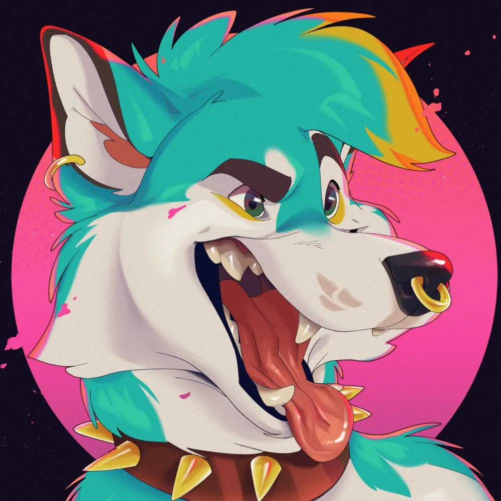 nonstoppup.bsky.social's profile picture