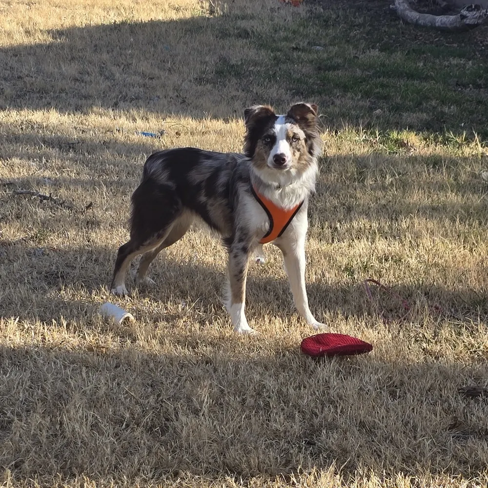 bnolte.bsky.social's profile picture