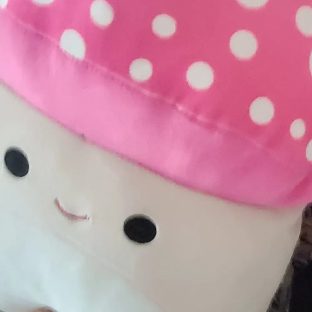 calicogecko.bsky.social's profile picture