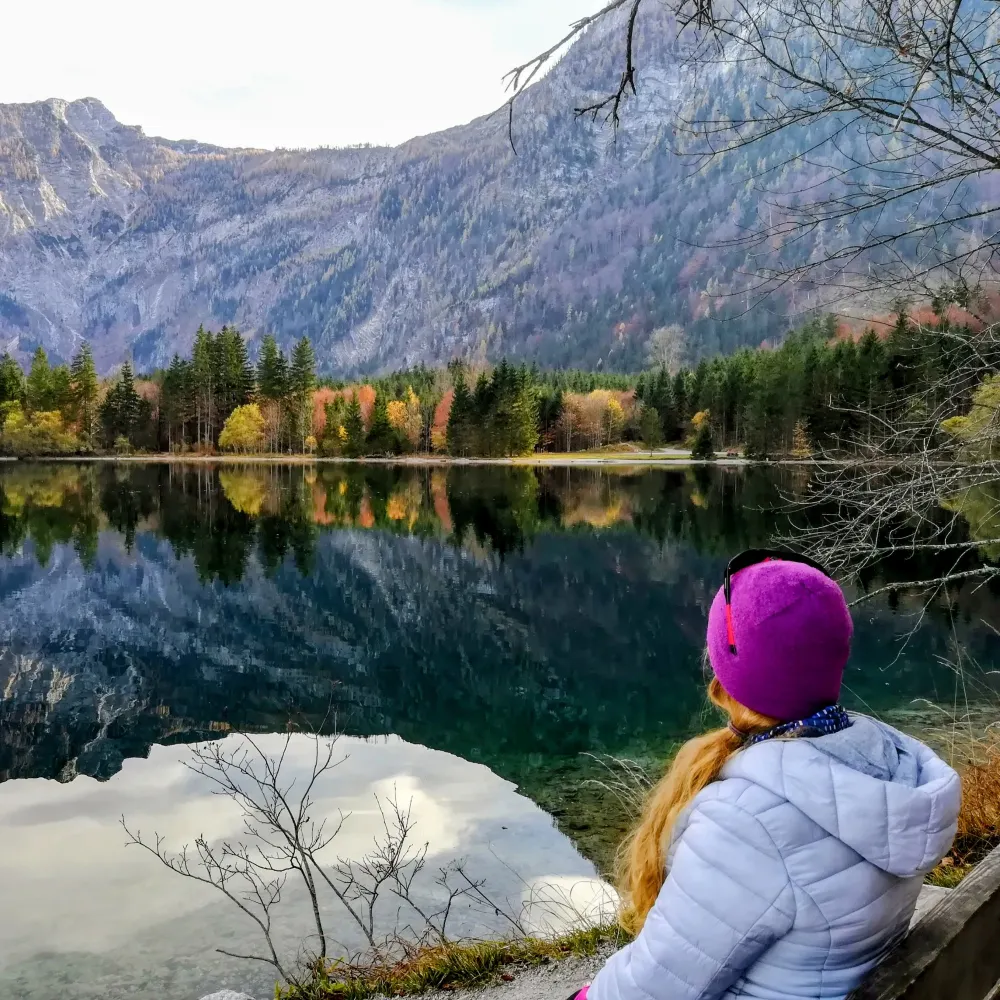 nasobem.bsky.social's profile picture