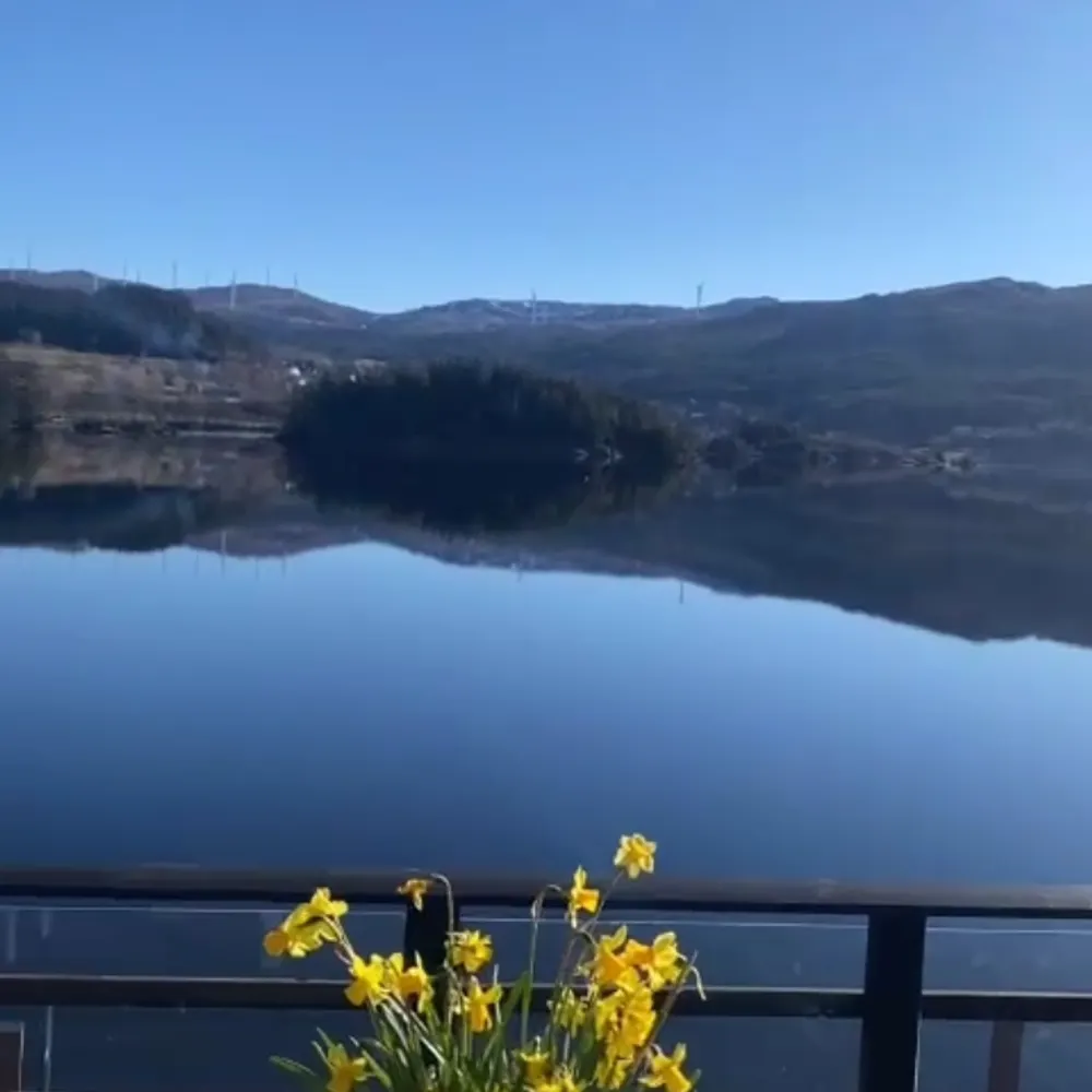 svein-gasver.bsky.social's profile picture