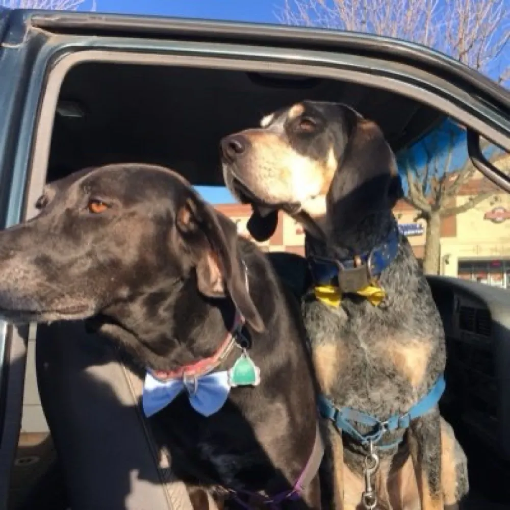 cc4usall.bsky.social's profile picture