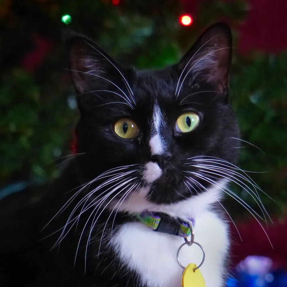 ltpowers.bsky.social's profile picture