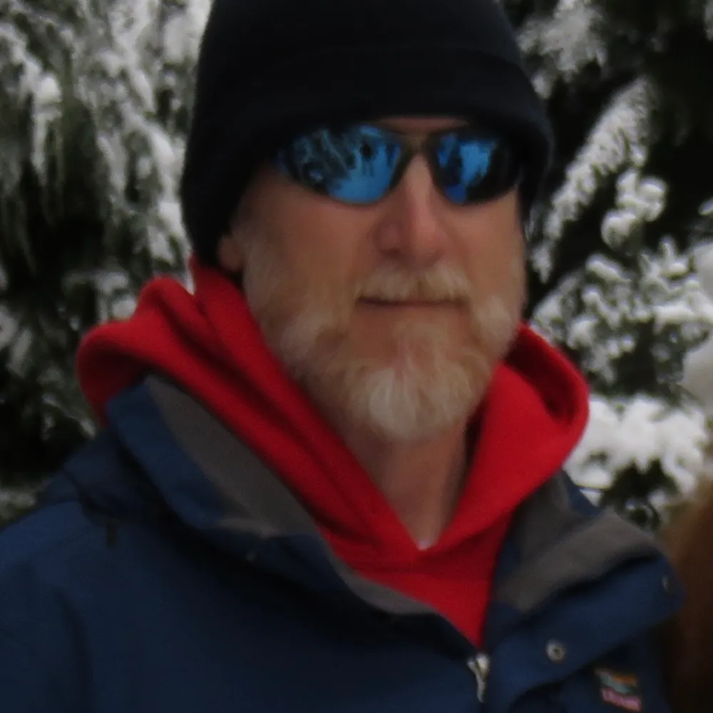 bee990.bsky.social's profile picture