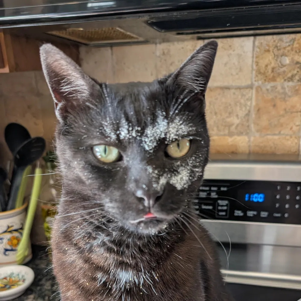 pocono.bsky.social's profile picture