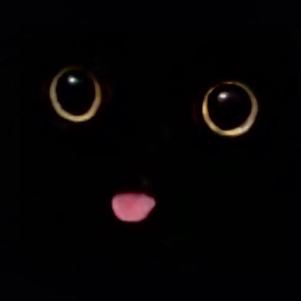 jaennaet.fi's profile picture