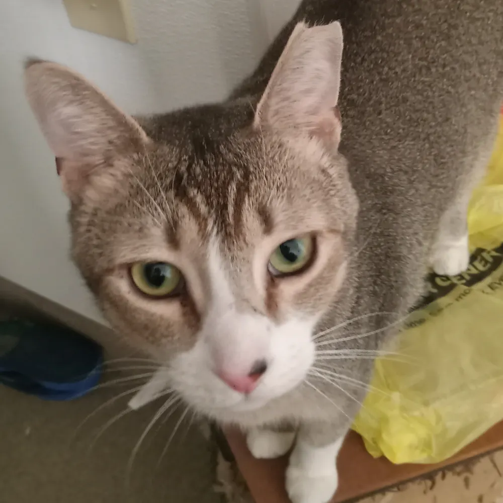 tamelaredfin.bsky.social's profile picture