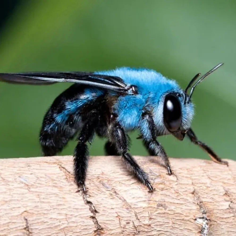 evilsapphic.bsky.social's profile picture