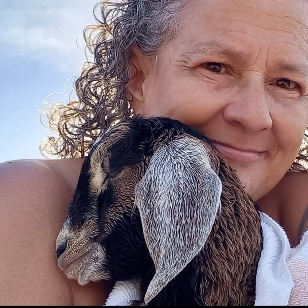 xitter-refugee.bsky.social's profile picture