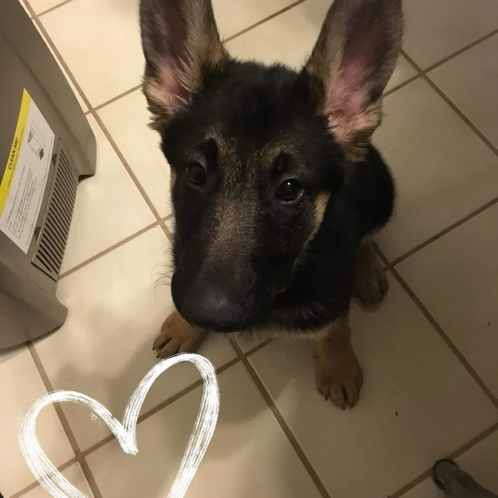 jse034.bsky.social's profile picture