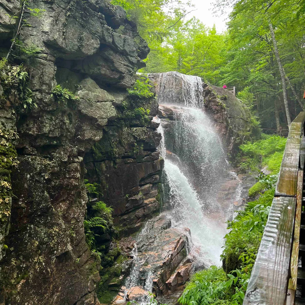 dgranite.bsky.social's profile picture