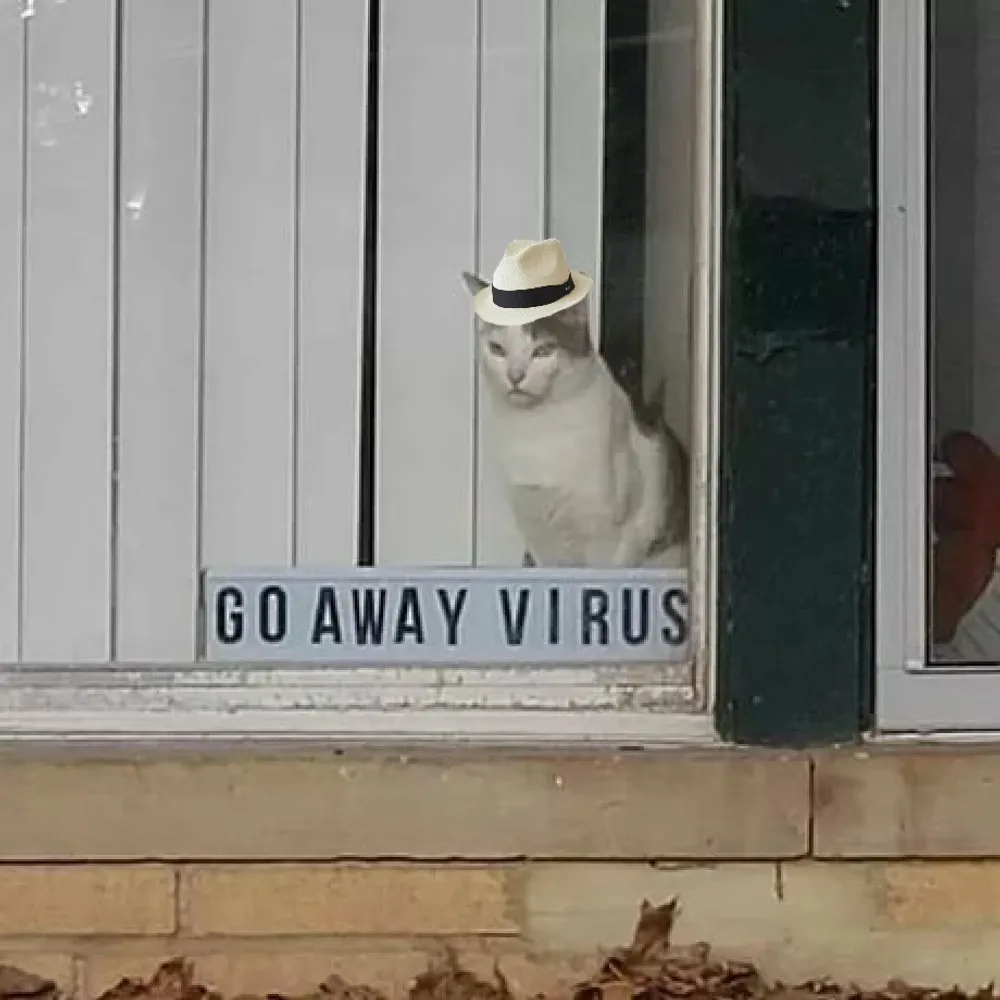 bluearrowsneo.bsky.social's profile picture