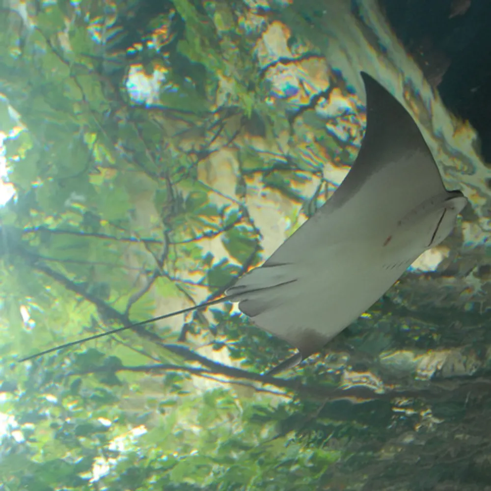 yamau6809.bsky.social's profile picture