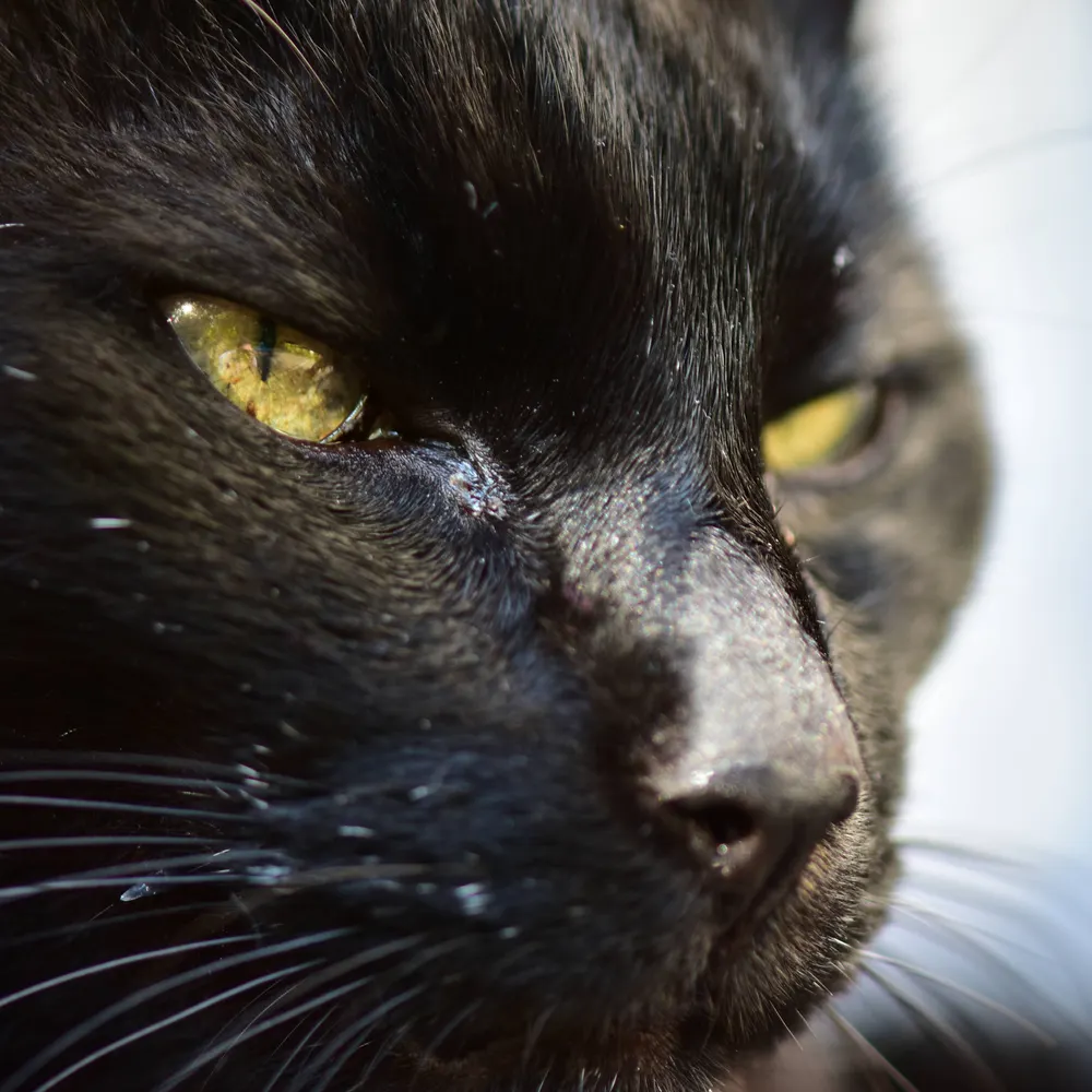 bartislatfass.bsky.social's profile picture