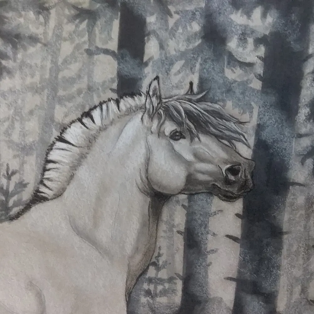 auroraw777.bsky.social's profile picture