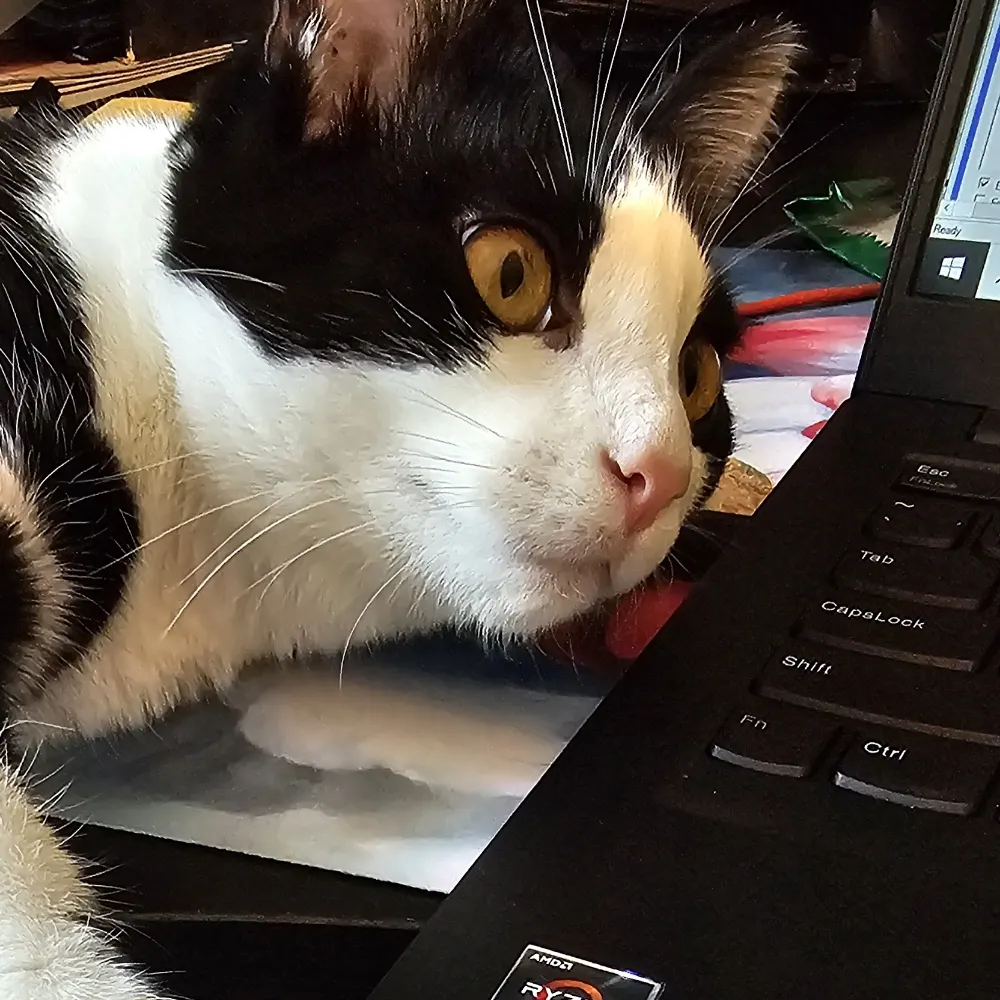 flanskiessome.bsky.social's profile picture