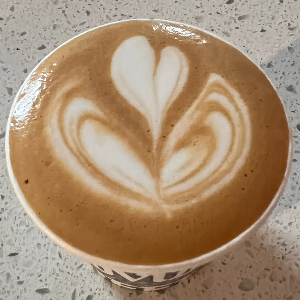 southernspring.bsky.social's profile picture