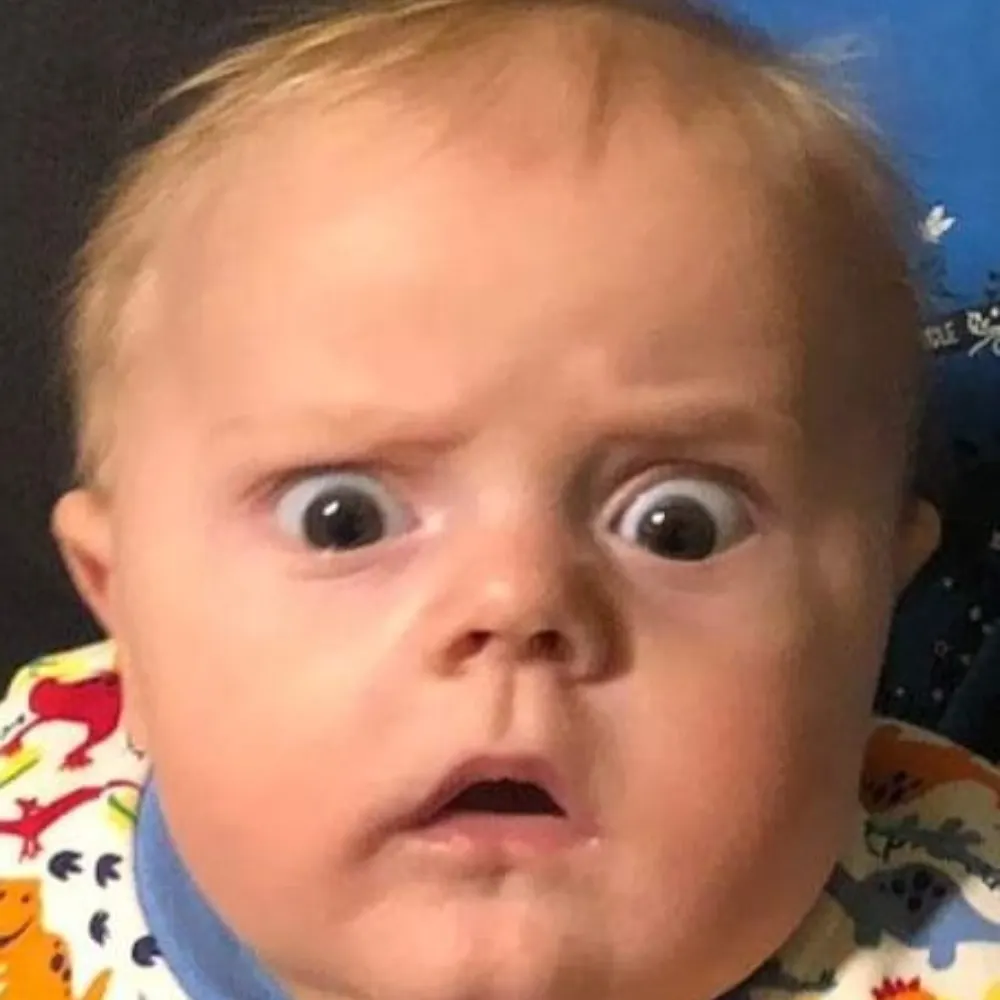 mudwiggler.bsky.social's profile picture