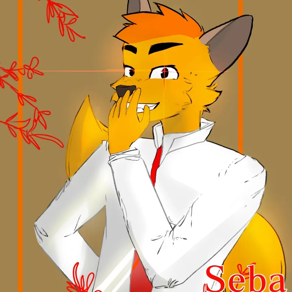 sebafox98.bsky.social's profile picture