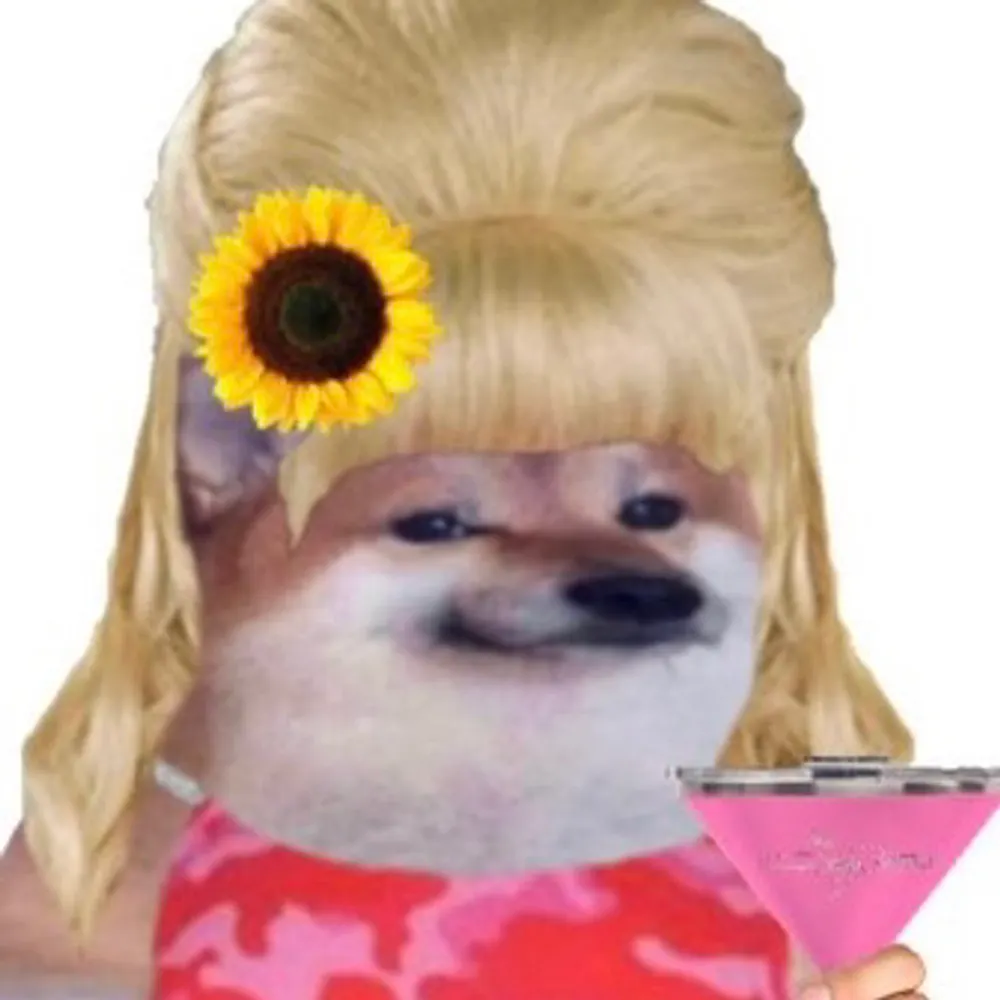 karimala.bsky.social's profile picture