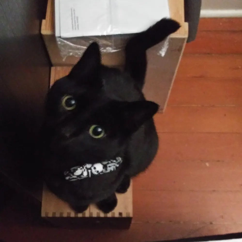 adrianwoland.bsky.social's profile picture