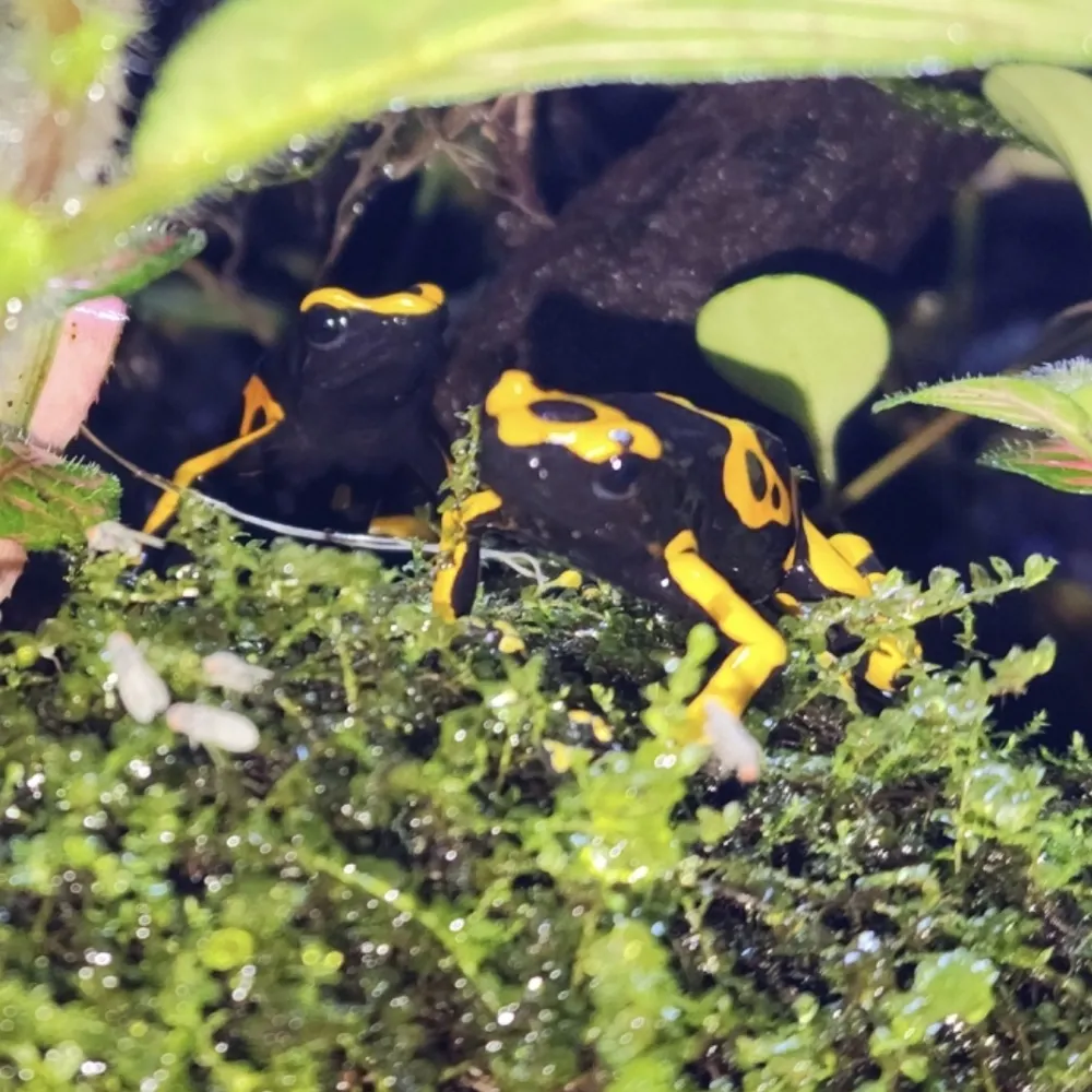 minic78.bsky.social's profile picture