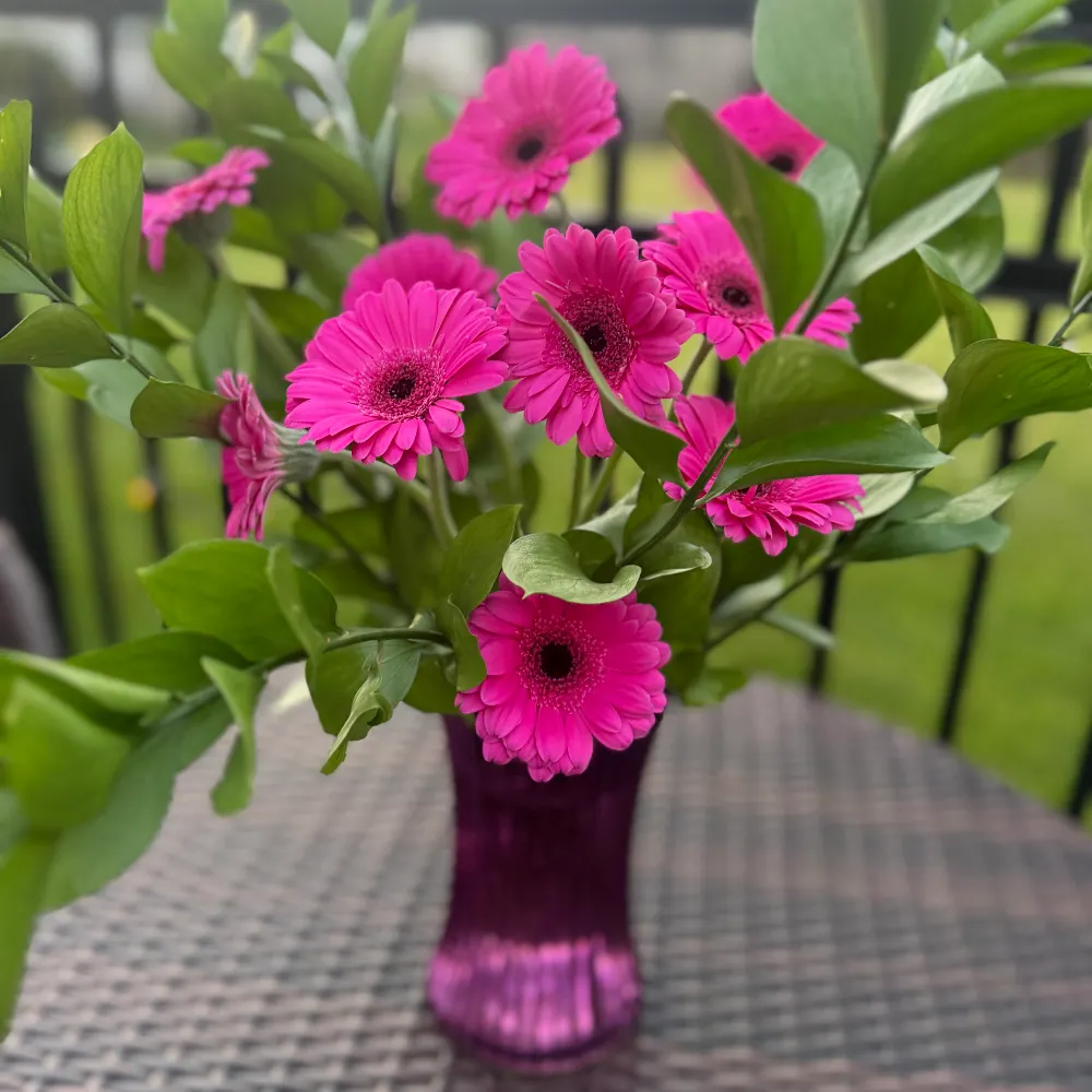 snowdogzmo.bsky.social's profile picture