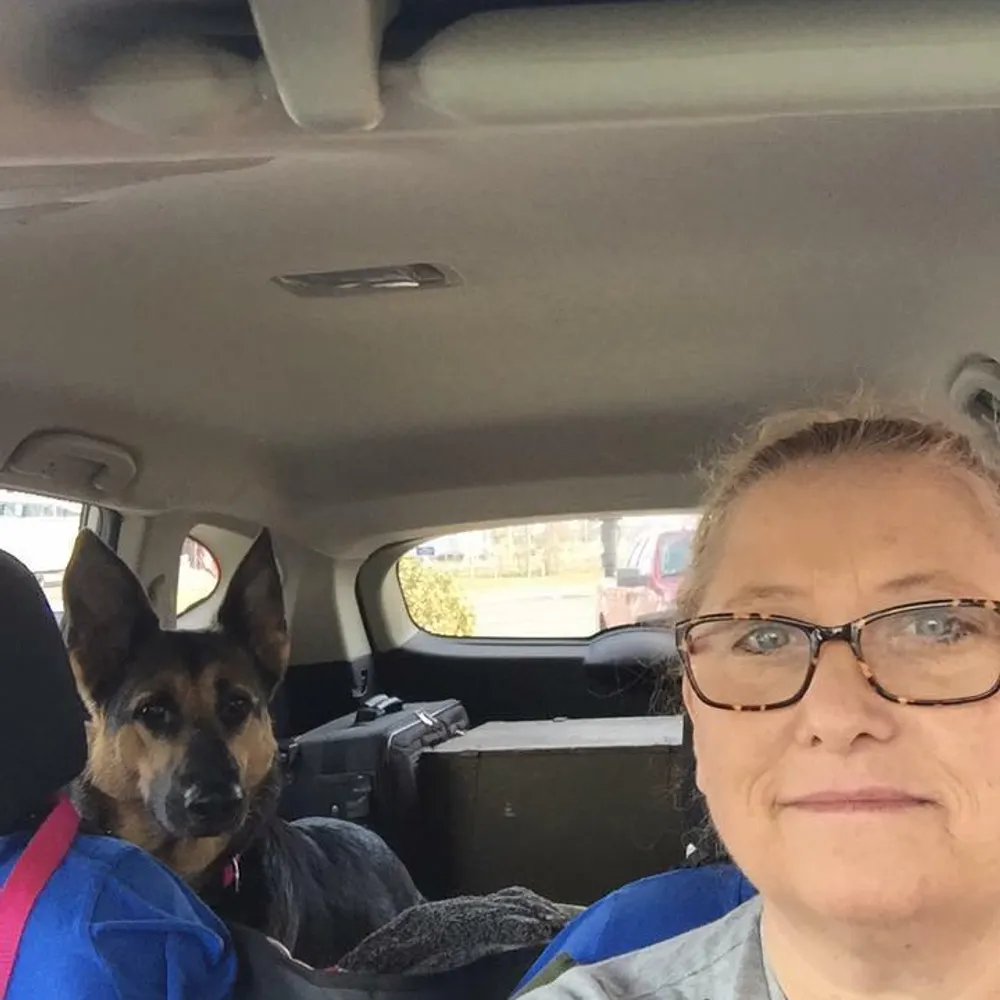 suziehanks.bsky.social's profile picture