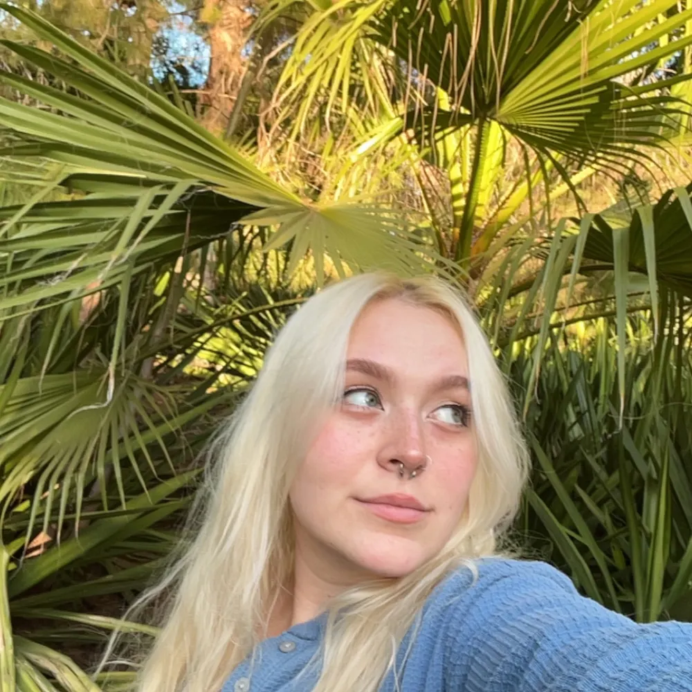 lilratking.bsky.social's profile picture