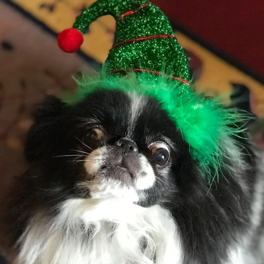 ringerinnyc.bsky.social's profile picture