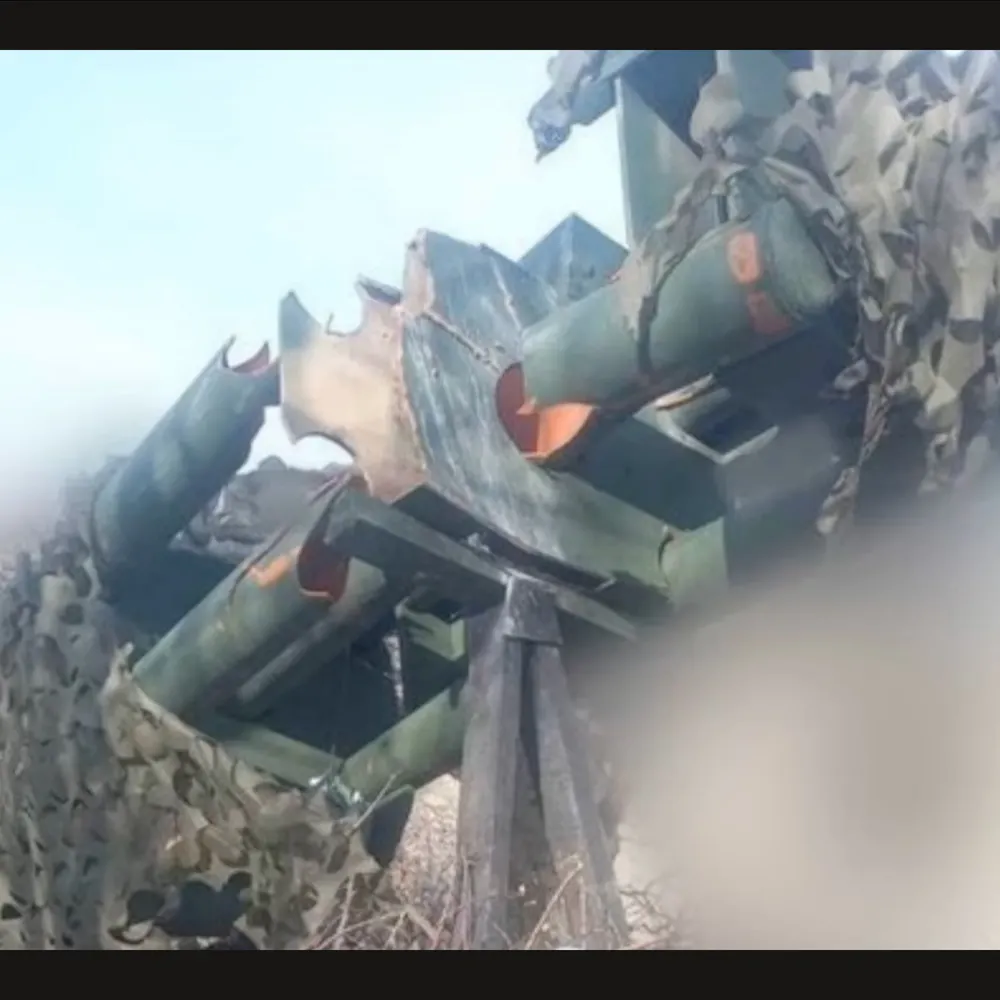 freefran.bsky.social's profile picture