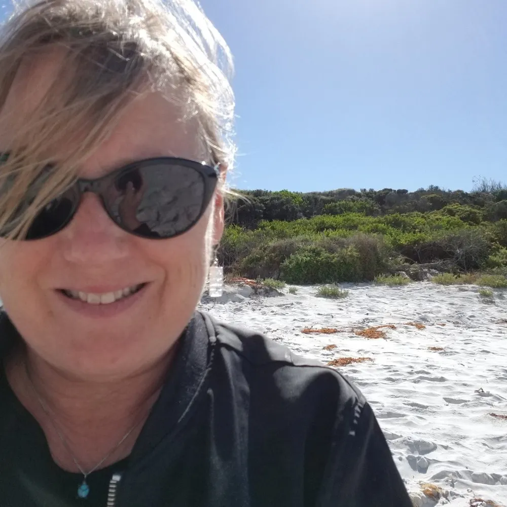 megt.bsky.social's profile picture