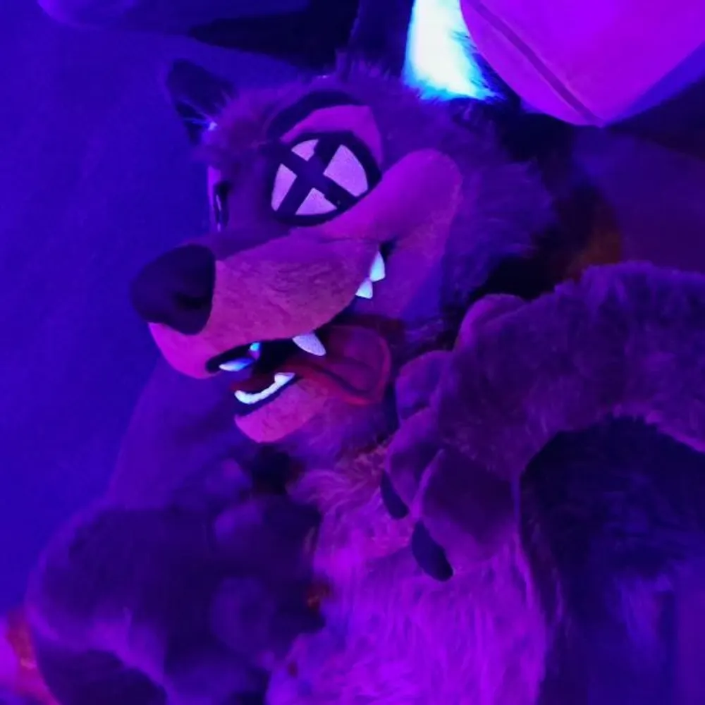 coyotesweets.bsky.social's profile picture