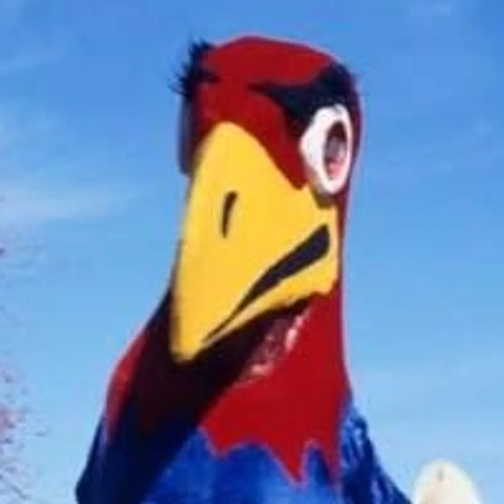 unclejayhawk.bsky.social's profile picture