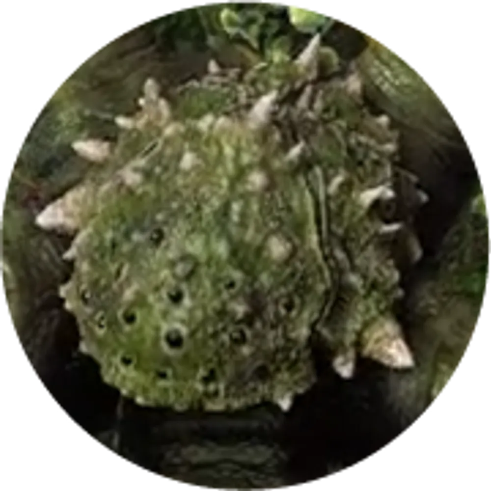 piedmont-pentapod.bsky.social's profile picture