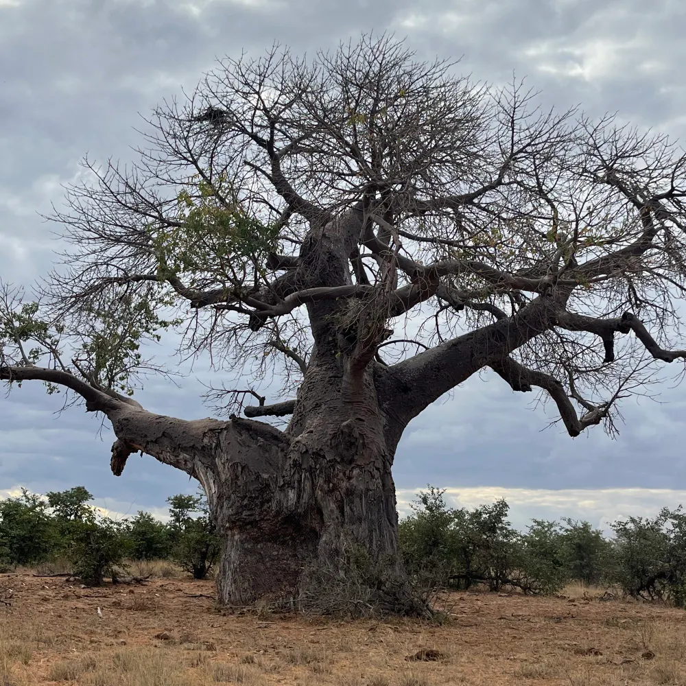 gabriellehecht.bsky.social's profile picture